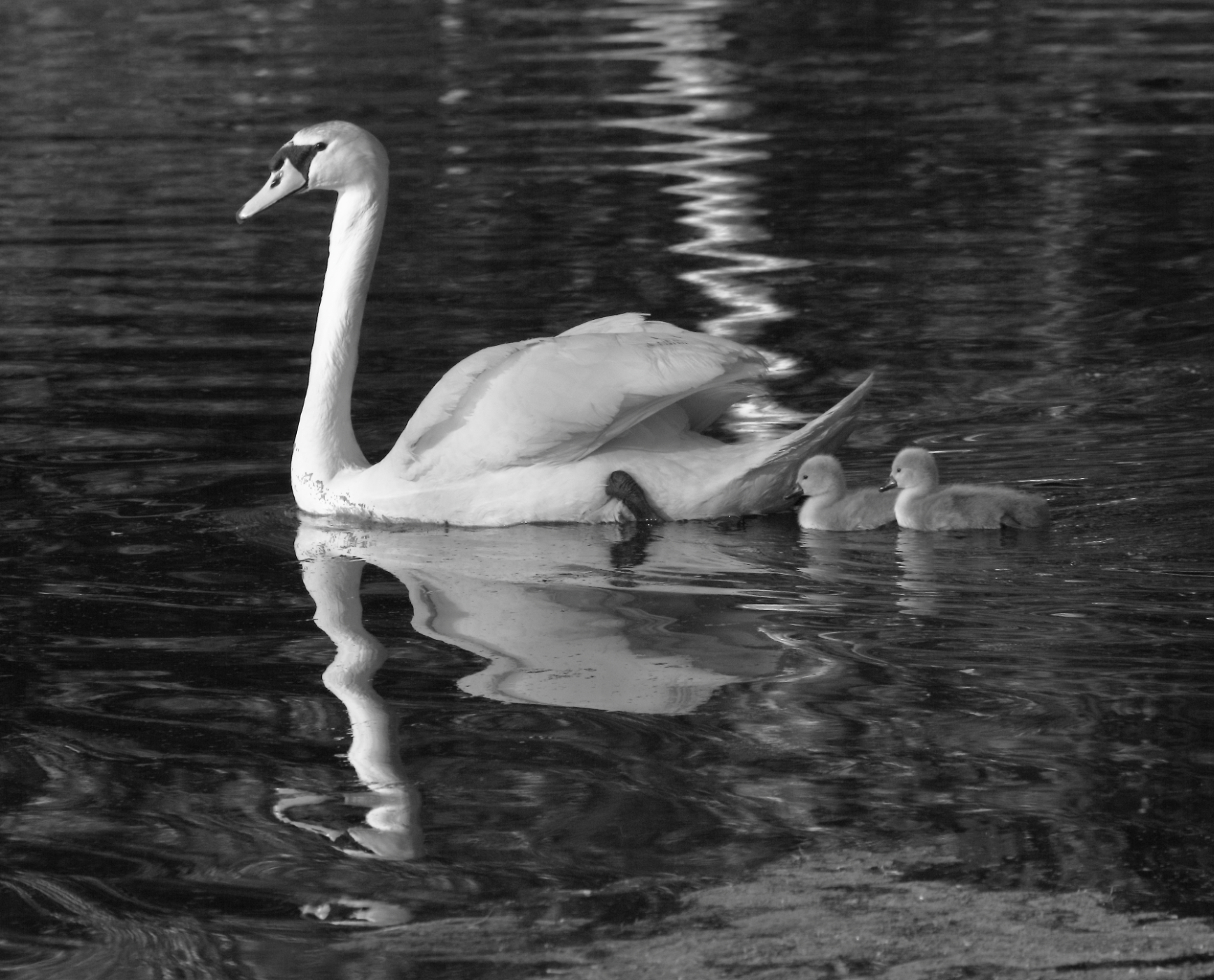 2015 05 17 HTP 000056083ebw (2)